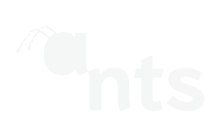 Grupo ANTS